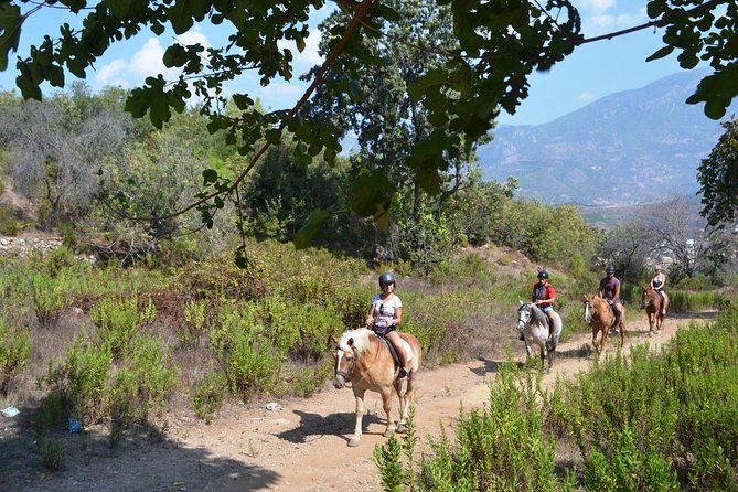 Alanya 3 Hour Horse Back Riding - Important Considerations and Restrictions