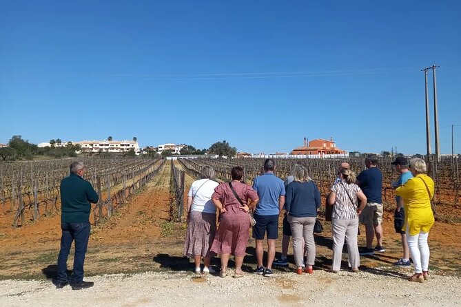 Albufeira Tour: Winery, Wine & Tapas Boards - Issues With Tour Schedule and Alternative Options