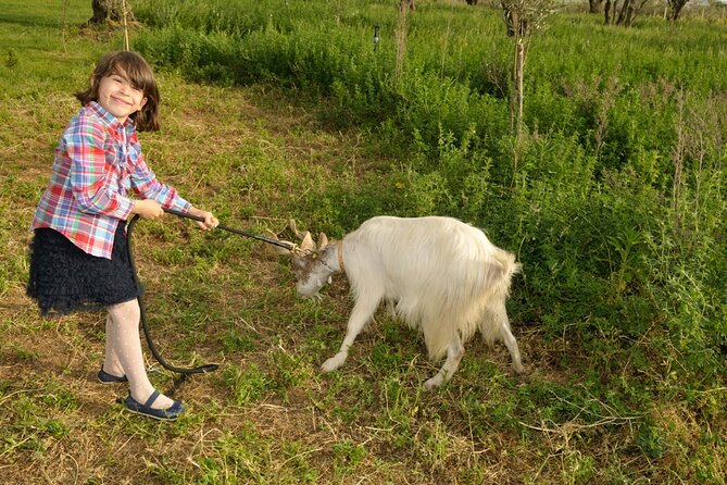 Alcamo Farm Animals and Aromatic Garden - What To Expect