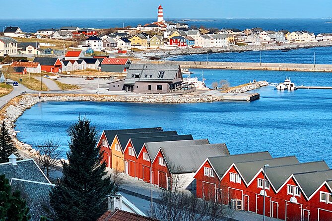 Alesund Sightseeing Tour Vikings Islands by Minibus, 4 Hours. Private Tour - Cancellation Policy