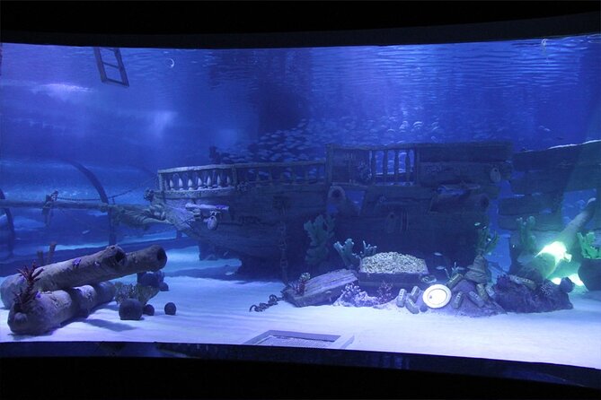 Alexander Waterfall and Antalya Aquarium Day Tour From Side - Transportation Details