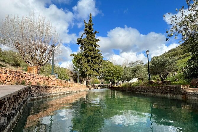 Algarve Safari - Half Day From Albufeira - Itinerary Overview