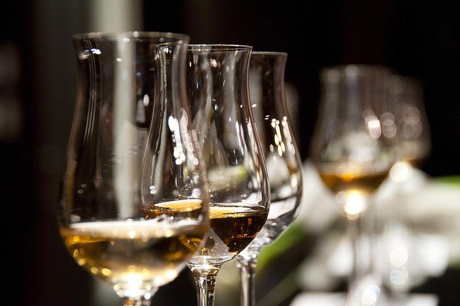 Alicante Food and Wine Experience With Sommelier - Culinary Tour of Alicantes Local Markets