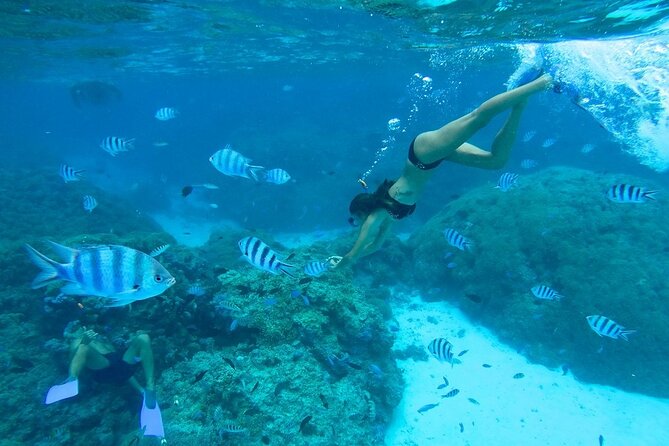 All-Day Small-Group Snorkeling Excursion in Bora Bora - Pickup and Drop-off Details