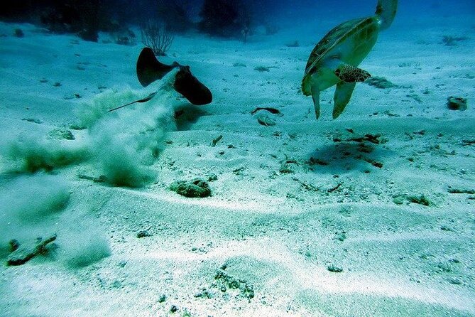 All-Inclusive Culebra Snorkeling Trip - Tour Overview and Itinerary