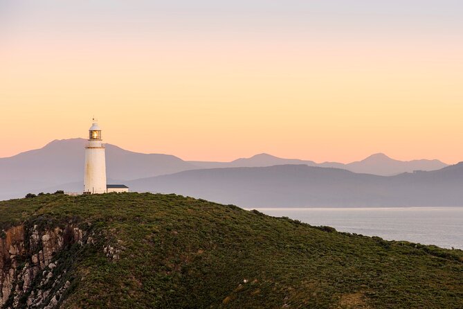 All Inclusive Private Bruny Island Discovery Tour - Tour Details