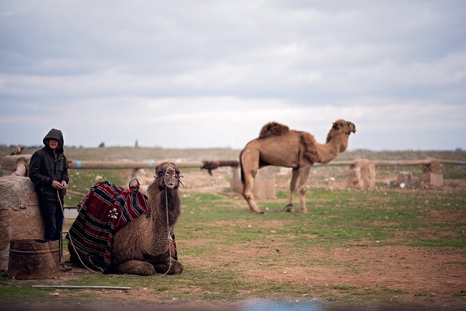 All-inclusive Private Guided 2-day Tour of Sanliurfa - Itinerary Highlights