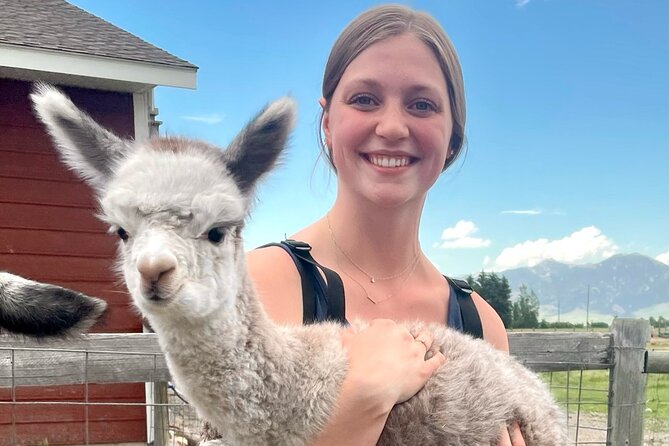 Alpaca and Llama Farm Tour - Meeting and Pickup