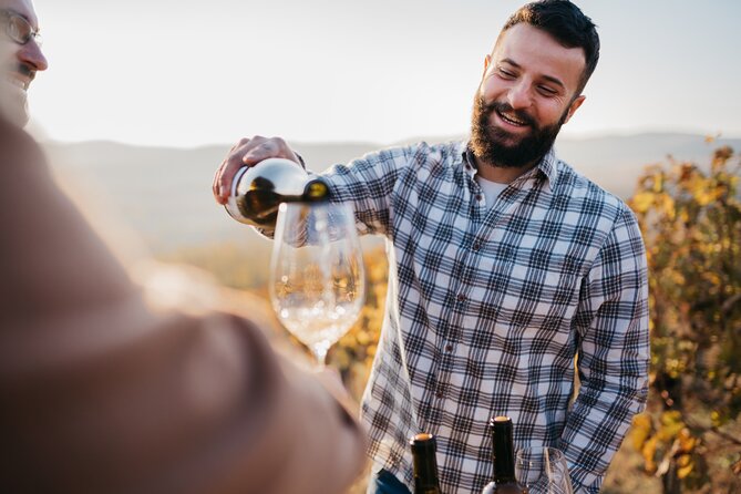 Alsace Wine Odyssey: Full-Day Private Tour From Strasbourg - Meeting and Pickup Details