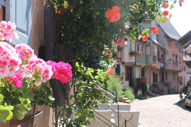 Alsace Wine Route Small Group Half-Day Tour With Tasting From Strasbourg - Flexible Booking Options