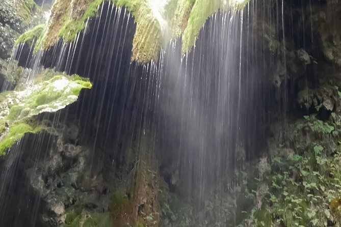 Amalfi Walking in Ferriere Valley Nature Reserve- Private Tour - Reviews From Satisfied Travelers