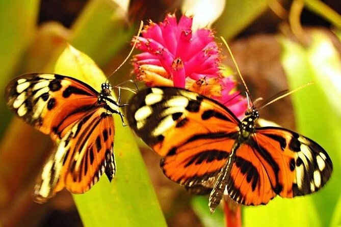 Amazon River Adventure Full Day Tour - Contact Information