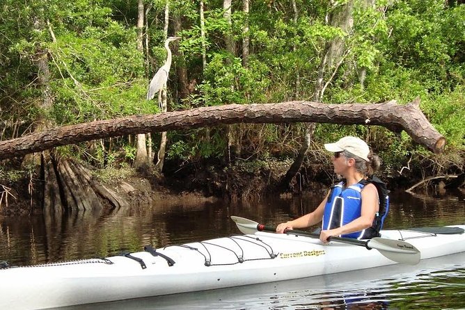 Amelia Island Area Kayak Rental on Lofton Creek With Adventures up the Creek - Inclusions in the Rental Package
