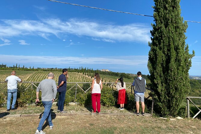 Among Ancient Sunny Vineyards, Visit and Taste the Wines From the San Lorenzo Cellar - Winemaking Process at San Lorenzo Cellar