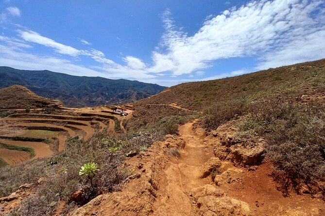 Anaga Hiking Tour  - Tenerife - Traveler Experience