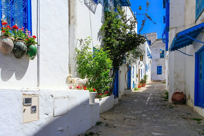 Ancient Carthage and Sidi Bou Said Half Day Tour With Lunch - Understanding Viators Terms & Conditions