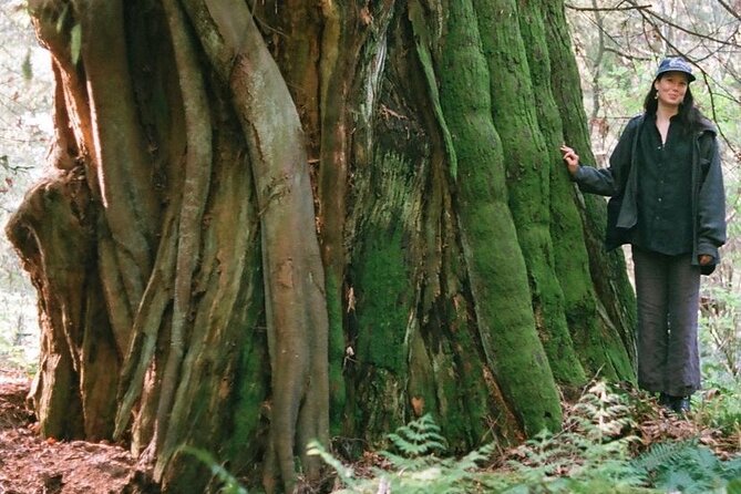 Ancient Trees of Vancouver Walking Tour - Tree Species on the Tour