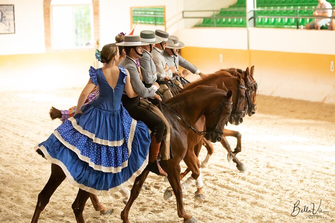Andalusian Horse and Flamenco Show in Malaga at 5:45 Pm - End Point and Meeting Point