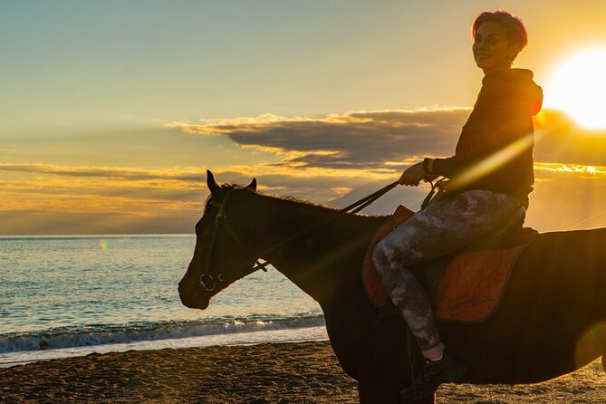 Antalya Horse Riding On Beach And Through The Forests For 2 Hours - Cancellation Policy