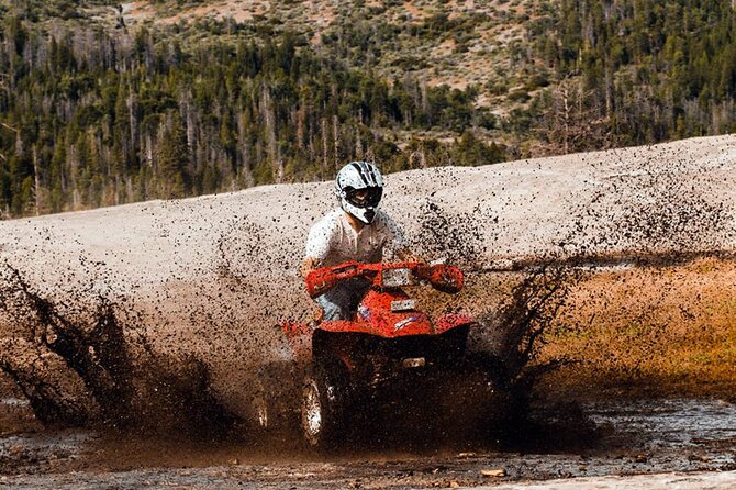 Antalya Quad Safari Experience by Local Experts - Cancellation Policy