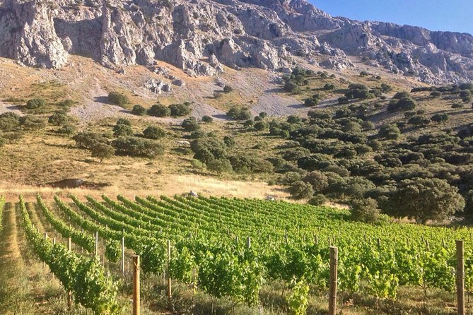 Antequera Classic Winery Tour - Payment Options