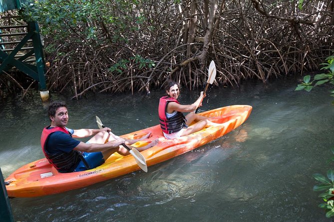 Antigua Kayaking and Reef Snorkeling Half-Day Tour - Tips and Recommendations for the Tour Experience