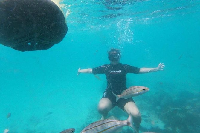 Antilla Shipwreck Seabob Tour - Traveler Photos and Reviews