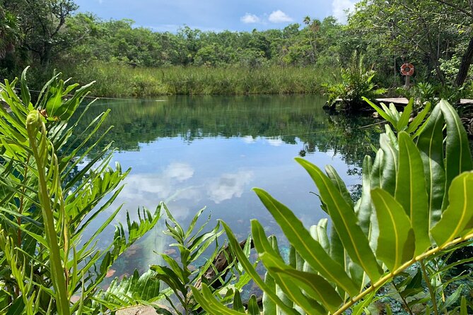 AQUA WONDER (Half-Day AQUAtic Tour in Tulum With Snorkeling and Meals) - Reviews and Ratings