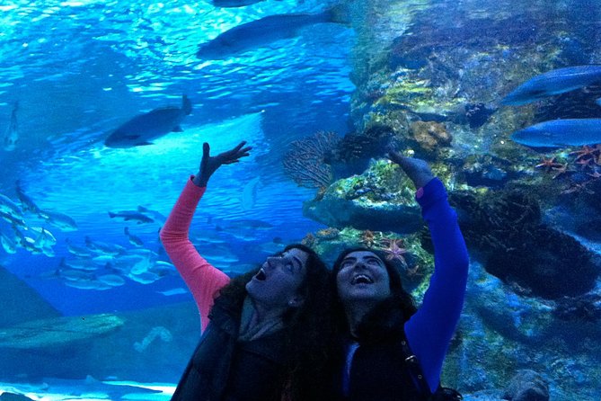 Aquarium & Face2face Wax Museum From Antalya - Exploring the Underwater World