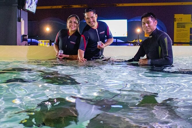 Aquarium Michin Puebla Ticket - Marine Life Exhibits