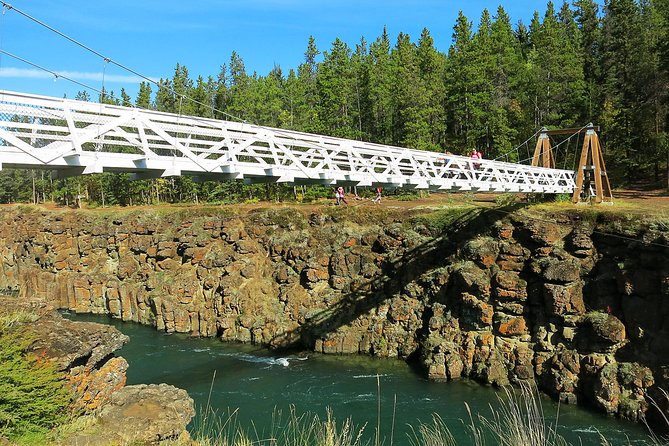 Arctic Day: Hiking Tour Half Day - Miles Canyon: a Deep Dive Into Northwest Canadas Yukon Region