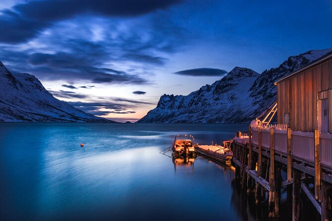 Arctic Wildlife and Fjord Sightseeing - Meeting Point Details