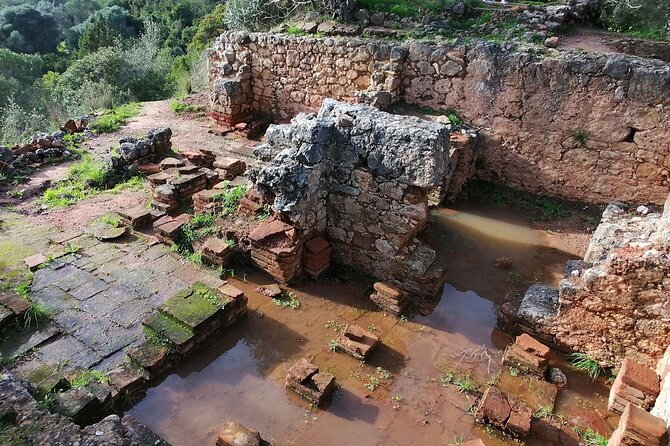 Arrábida: Beach, Nature & History - Duration and Admission Details