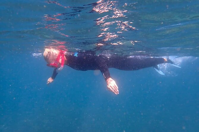 Arrábida: Kayaking Snorkeling Experience - Cancellation Policy