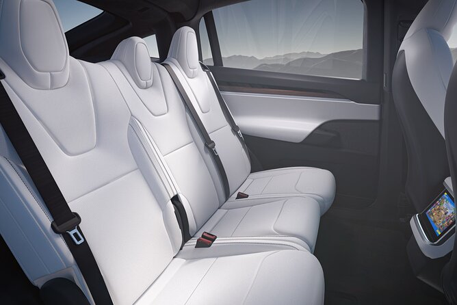 Arrival Private Transfer From Las Vegas Airport to Las Vegas by Electric Vehicle - Overview of the Transfer