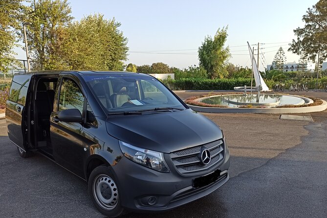 Arrival Transfer From Kos Airport - Overview of the Service