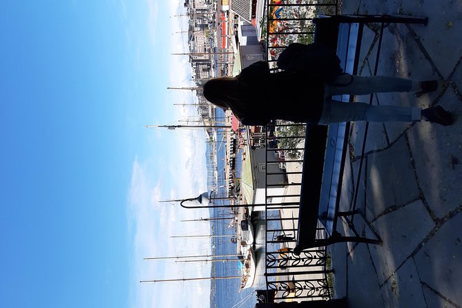 Art and Museum Tour of Oslo - Whats Included