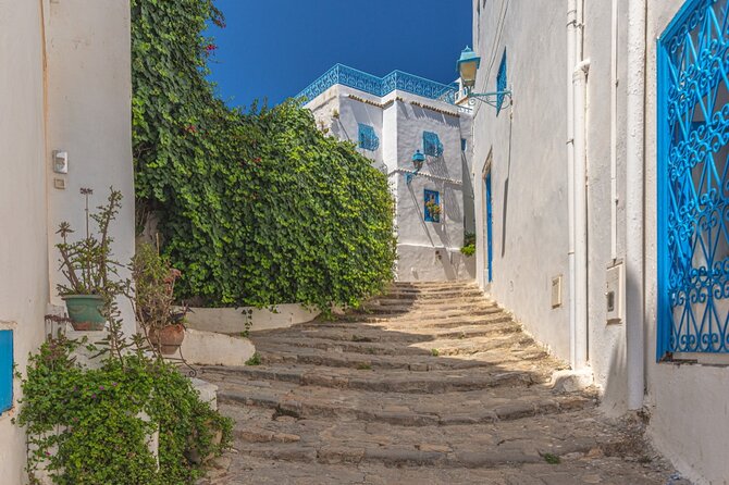 Artistic Sidi Bou Said Walking Tour - Palace of the Former Baron