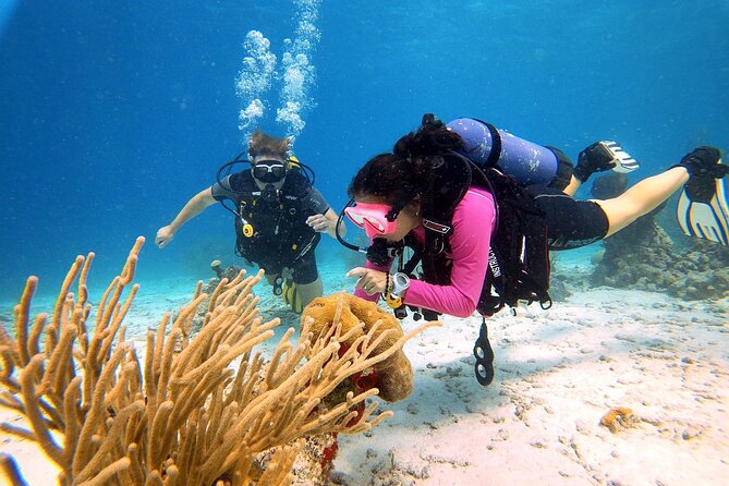 Aruba Discover Scuba Diving - Course Experience