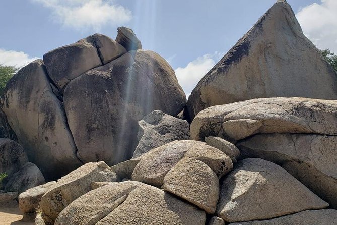Aruba Half Day Island Tour - Reviews and Testimonials
