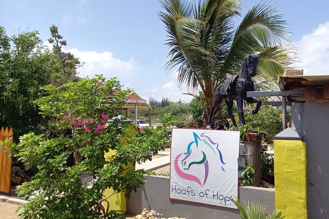 Aruba Horseback Beach & National Park Ride - Overview of the Experience