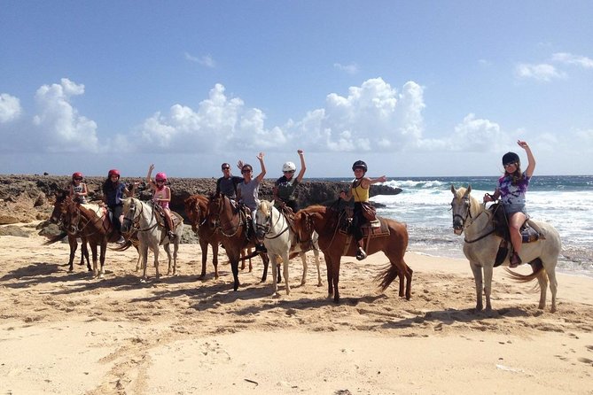 Aruba Horseback Riding Tour to Urirama Cove - Customer Reviews