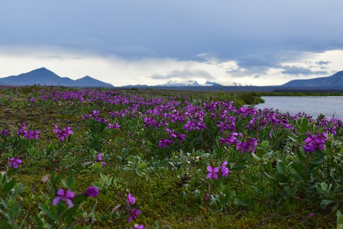 Askja the Caldera - My Favorite Day Tour - Start Time and End Point