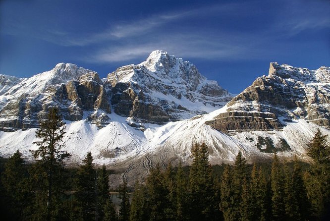 Athabasca Glacier Snow Trip From Banff - Highlights of the Trip