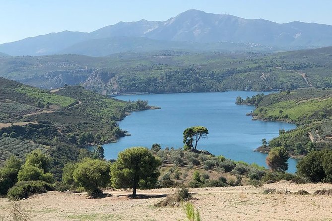 Athens Off-Road Private Wine Tour - Wine Education at Museum Kostas Lazaridis