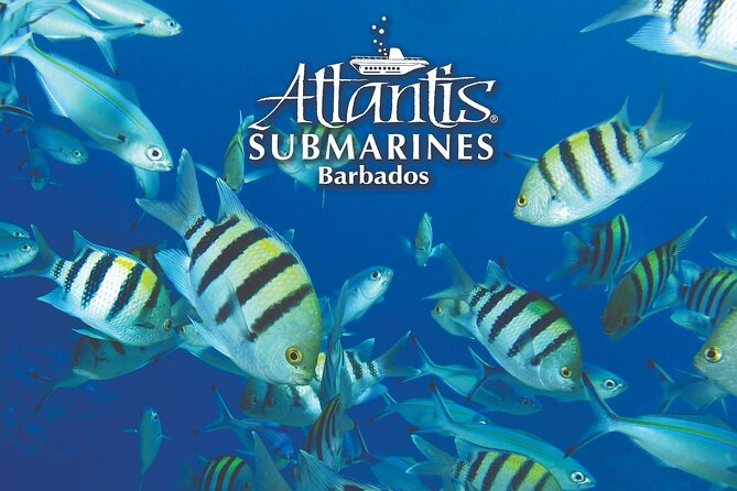Atlantis Submarine Day Tour - Whats Included