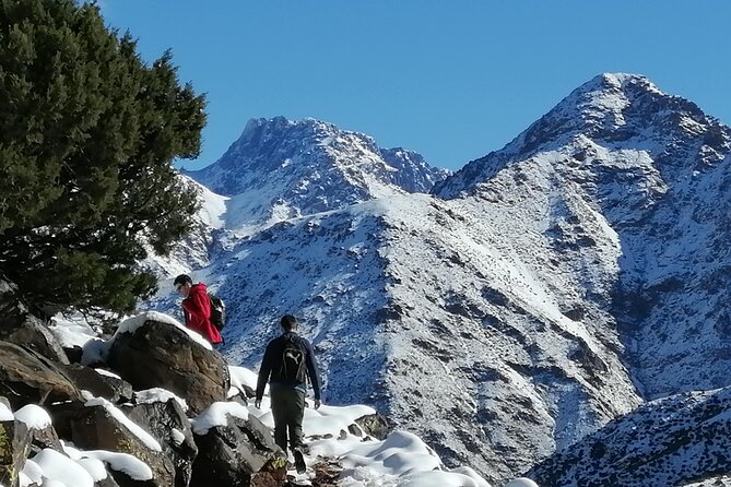 Atlas Mountains Guided Day Hike - Reviews