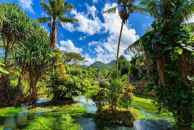 ATV Adventure With Lunch, Swimming, and a Ganja Field Visit  - Montego Bay - Rasta Safari Experience