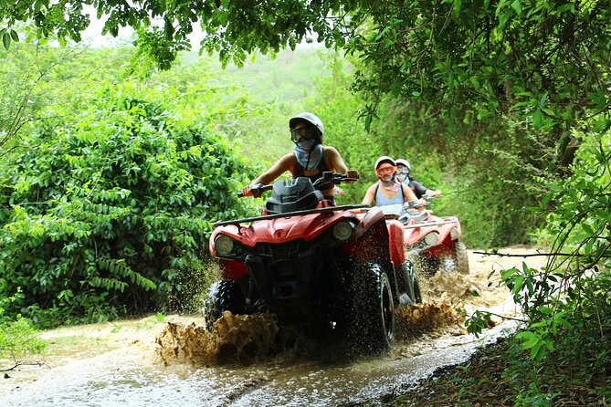 ATV Beach & Desert Adventure Tour in Los Cabos Tequila Tasting - Tour Overview