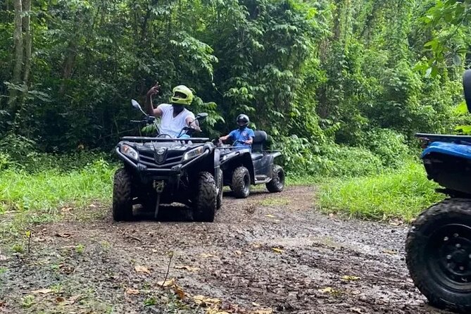 ATV Riding in Safari & Ricks Cafe Tour From Montego Bay - Questions and Terms